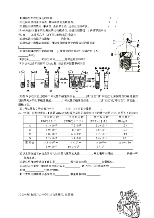 七年级下学期期中生物考试卷附答案