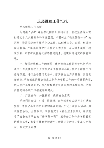 反恐维稳工作汇报 (3).docx