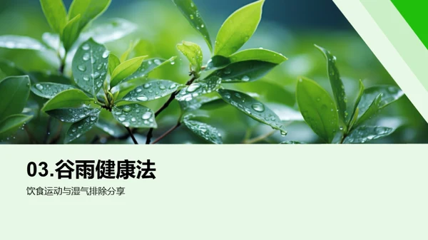 谷雨季节的健康指南