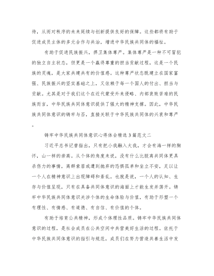 铸牢中华民族共同体意识心得体会精选3篇范文.docx