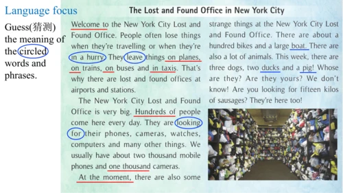 Module 1 Lost and found Unit 2 Are they yours? 课件（