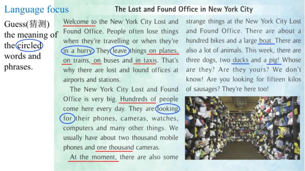 Module 1 Lost and found Unit 2 Are they yours? 课件（