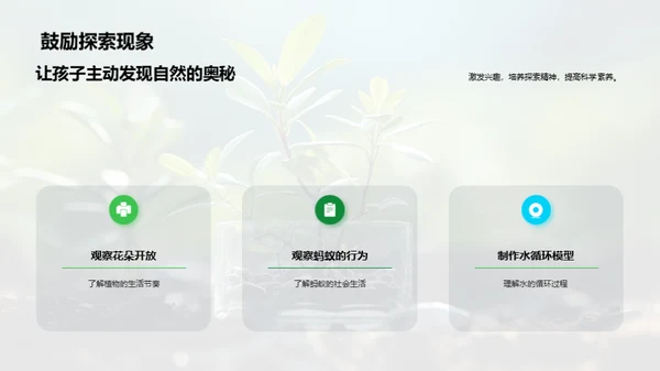 小科学家的生物探秘