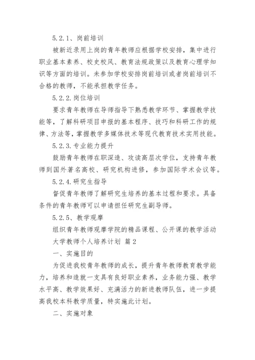大学教师个人培养计划.docx