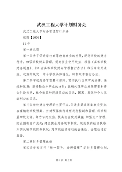 武汉工程大学计划财务处 (2).docx