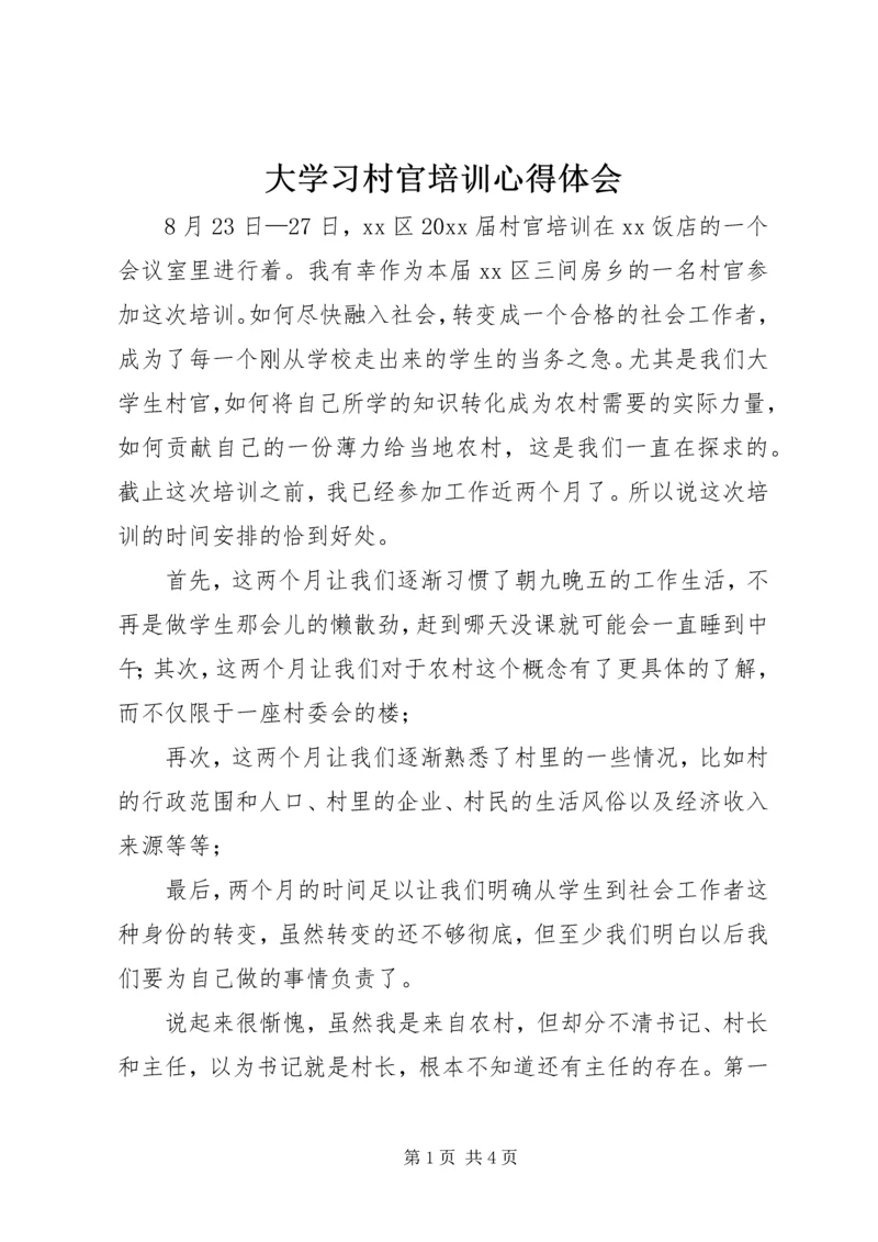 大学习村官培训心得体会 (2).docx