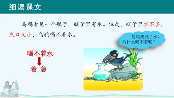 课文13《乌鸦喝水》课件