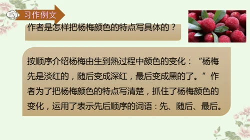 第五单元习作例文我爱故乡的杨梅
