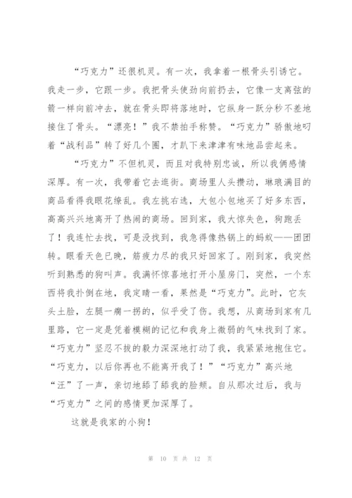 我家小狗作文600字八篇.docx