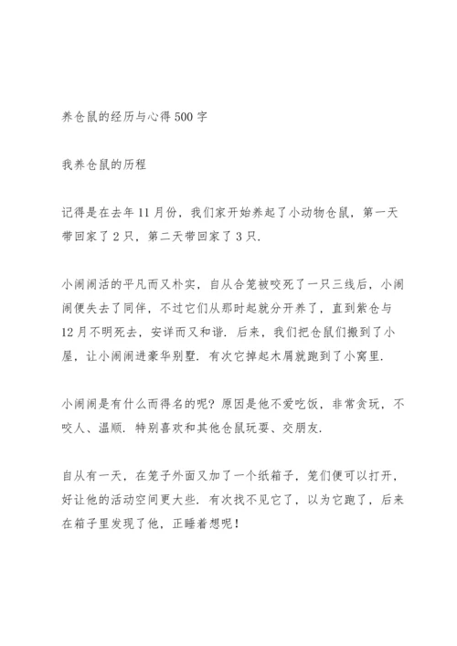养仓鼠的经历与心得500字.docx