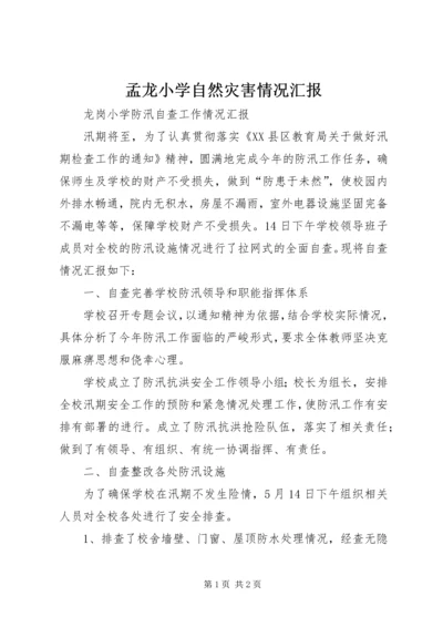 孟龙小学自然灾害情况汇报 (2).docx