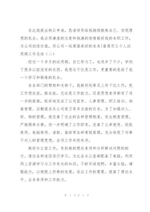 普通员工个人试用期工作总结.docx