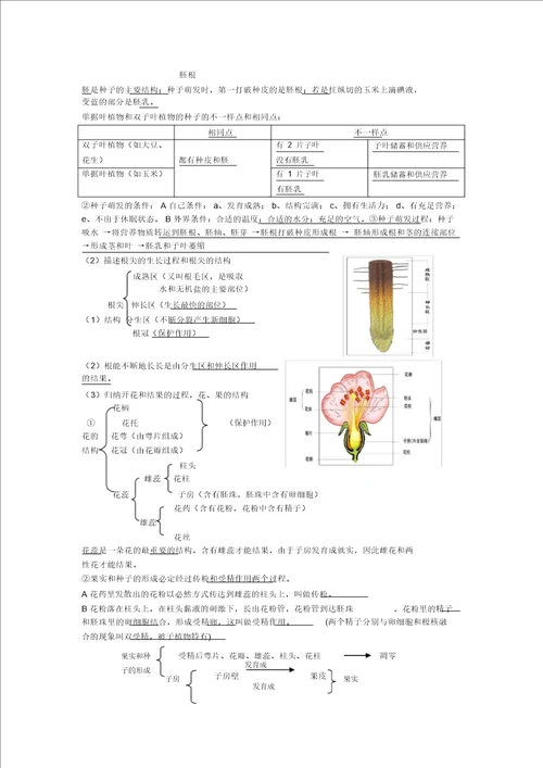 中考生物知识点总结计划