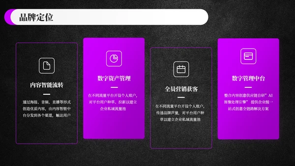 黑色科技风时尚品牌策划方案