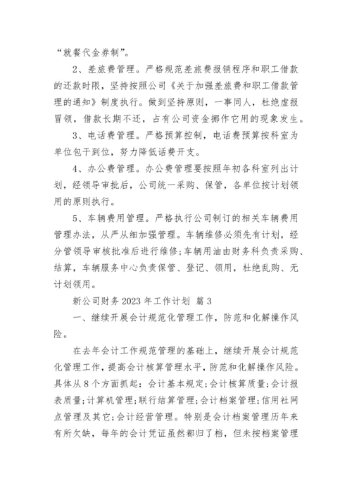 新公司财务2023年工作计划.docx