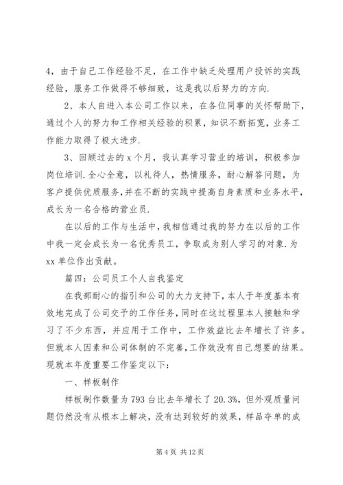 公司年度自我评价范文.docx