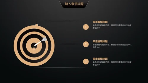 黑金轻奢商业计划书通用PPT模版