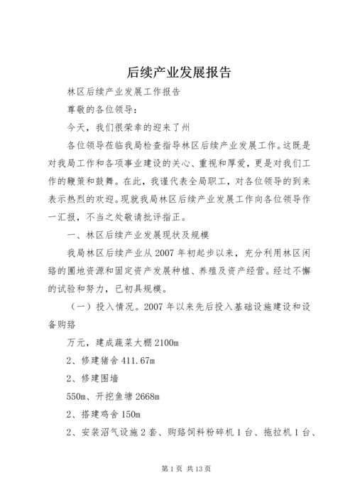 后续产业发展报告.docx