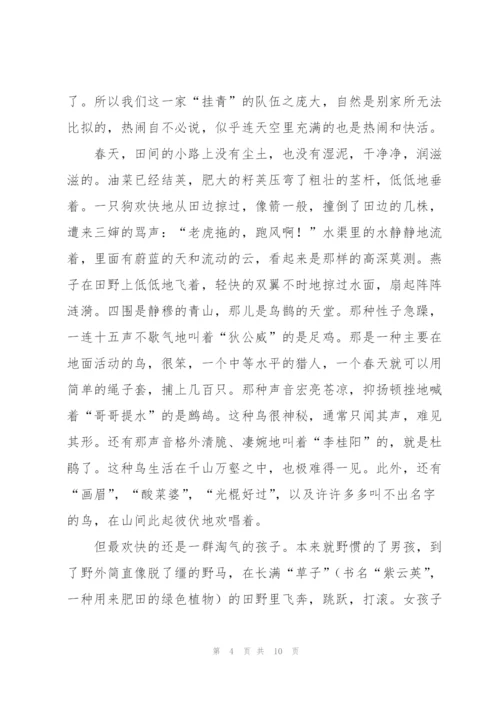 描写清明节见闻作文5篇.docx
