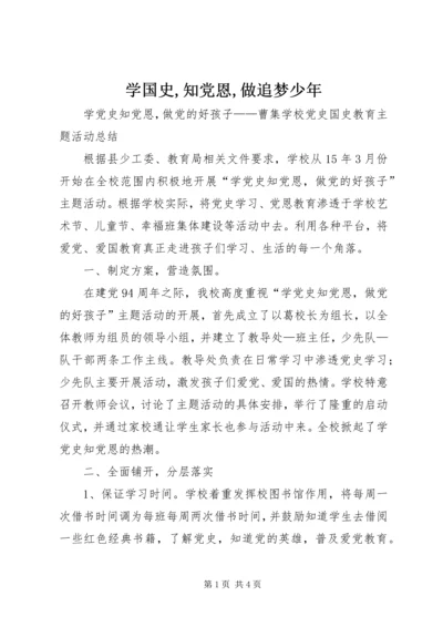 学国史,知党恩,做追梦少年.docx