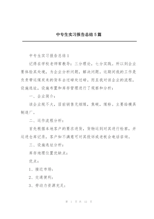 中专生实习报告总结5篇.docx