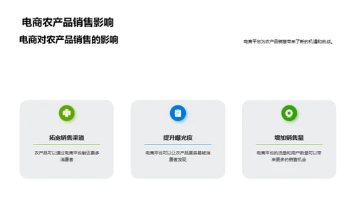 全面提升农产品网络销售