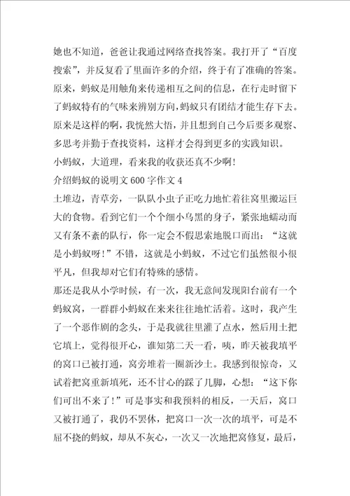 介绍蚂蚁的说明文600字作文5篇