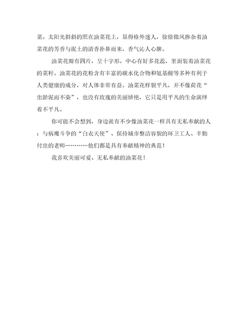 春天的油菜花作文两篇