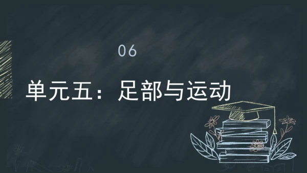 3《口耳目手足》课件
