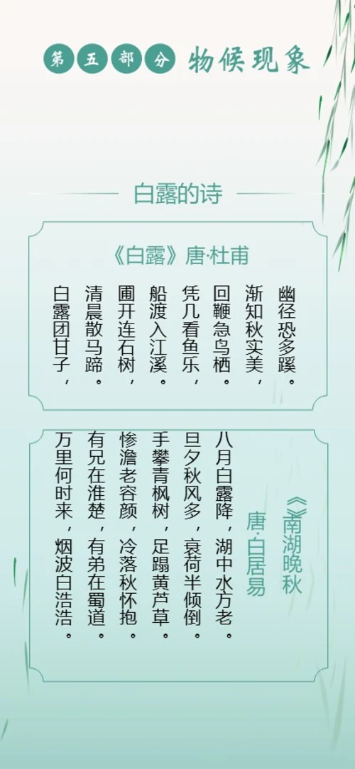白露节气二十四节气知识手机竖版PPT课件