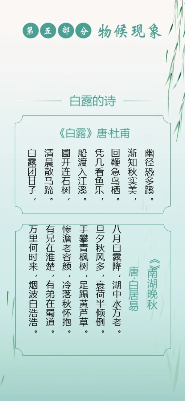 白露节气二十四节气知识手机竖版PPT课件