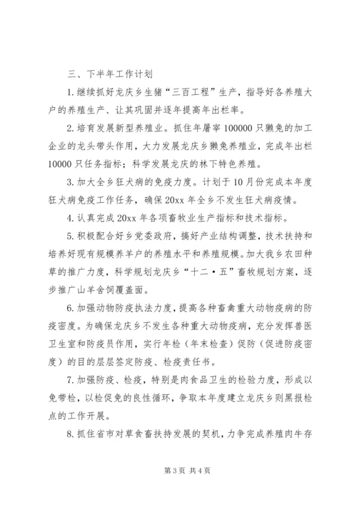 畜牧兽医站上半年工作总结与下半年工作计划精编.docx