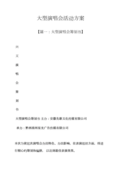 大型演唱会活动专题方案.docx