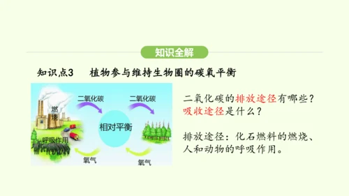 第三单元-第二章-第四节-植物在自然界中的作用课件-2024-2025学年七年级生物下学期人教版(2