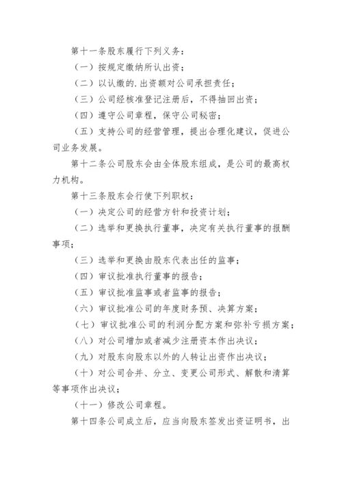 汽车租赁公司章程.docx
