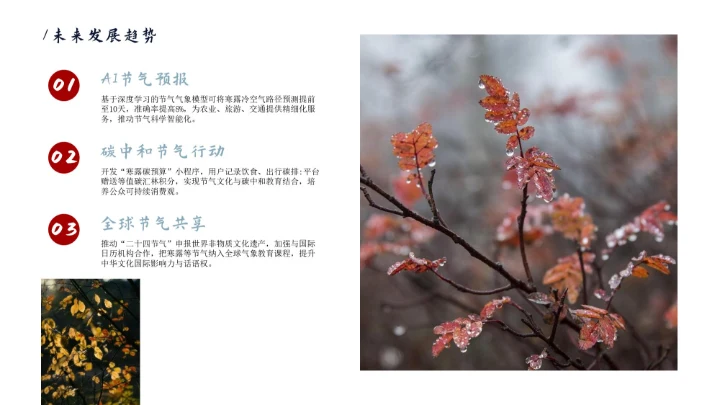 瓷青色简约风寒露节气PPT模版