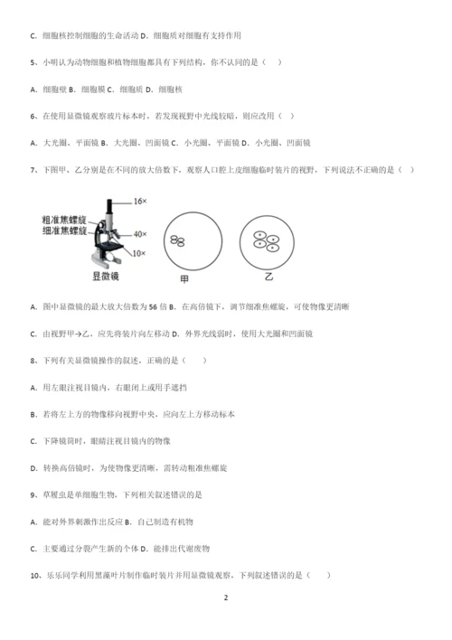 通用版初中生物七年级上册第二单元生物体的结构层次易混淆知识点.docx