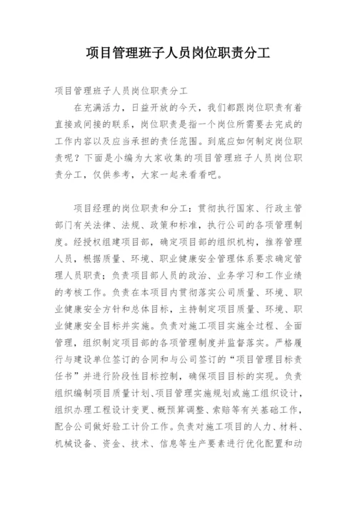 项目管理班子人员岗位职责分工.docx