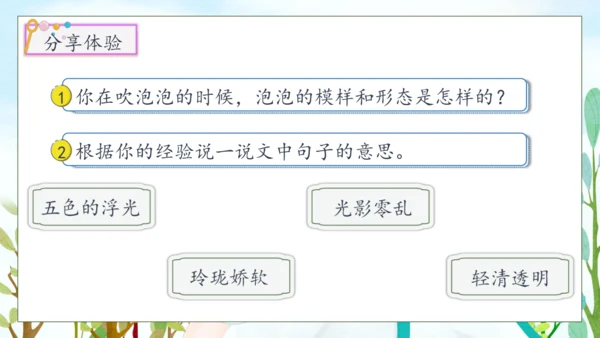 【核心素养】部编版语文三年级下册-20.肥皂泡 第2课时（课件）
