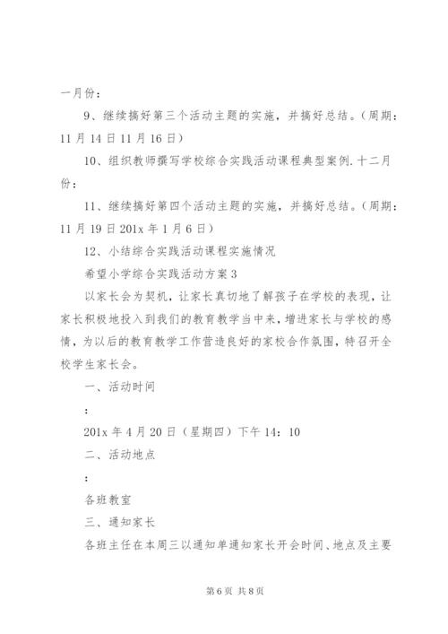 希望小学综合实践活动方案.docx