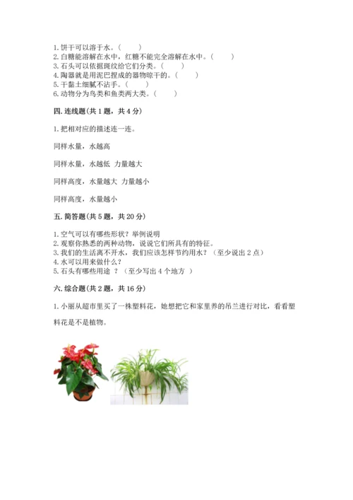 苏教版一年级下册科学期末测试卷及完整答案（全国通用）.docx