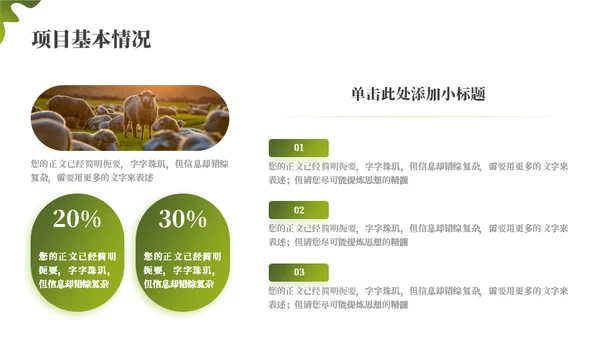 绿色乡村振兴项目工作汇报通用PPT模板