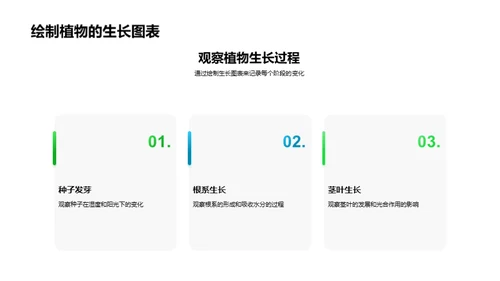 植物生长的奇妙之旅