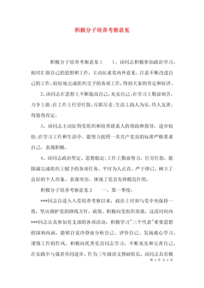 （精选）积极分子培养考察意见.docx