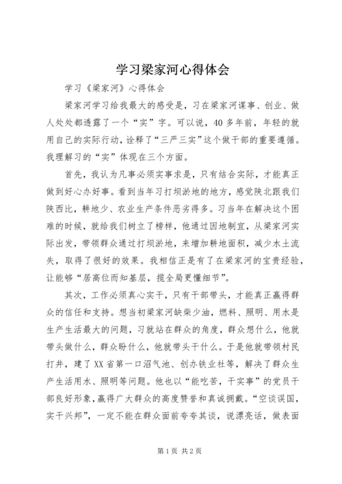 学习梁家河心得体会 (7).docx