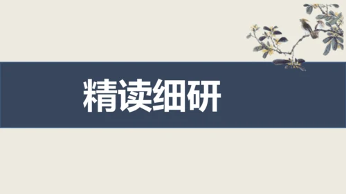 部编版九下语文第六单元课外古诗之《南安军》 同步课件