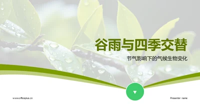 谷雨与四季交替