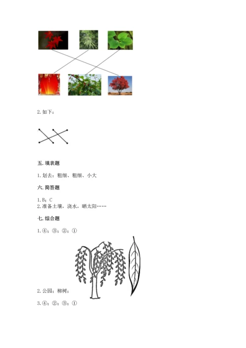 教科版科学一年级上册第一单元《植物》测试卷附参考答案（能力提升）.docx