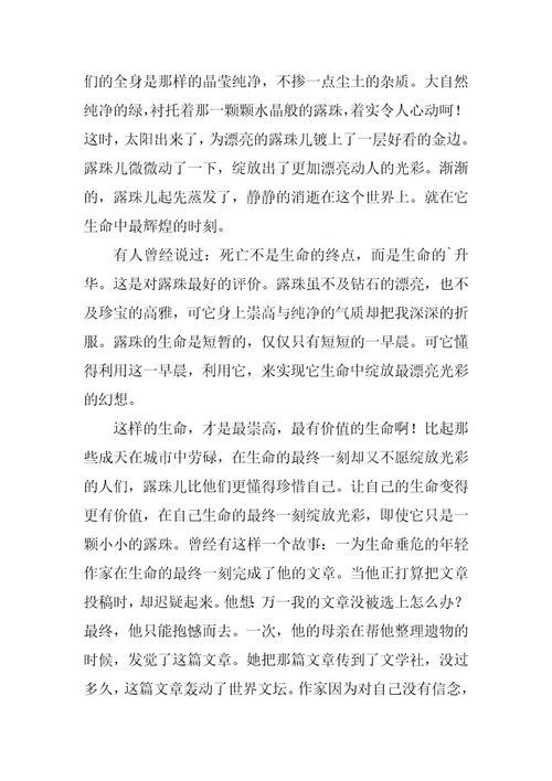 2023年小学五年级作文汇总4篇