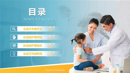 商务风格出走行为的防范与护理医务人员培训PPT